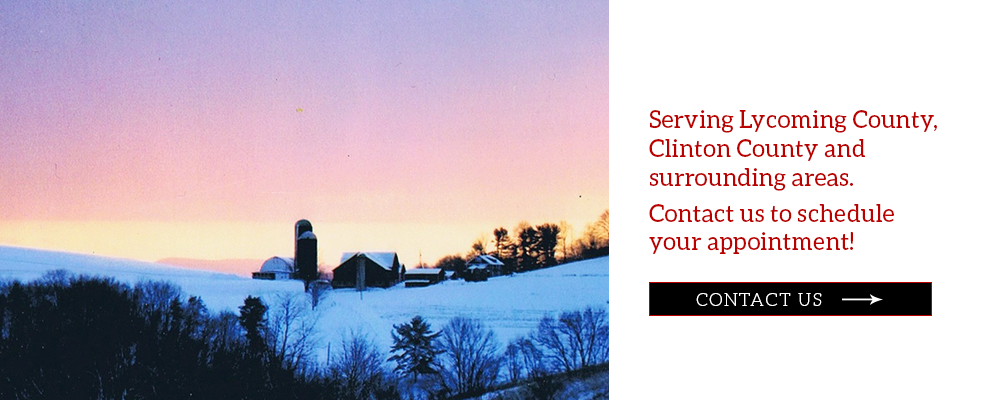 Vet services in Lycoming County and Clinton County at Paulhamus Vet Services